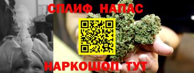 соль ск Будённовск