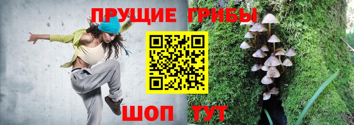 купить наркоту  Вход с VPN  Новый Уренгой  Псилоцибиновые грибы прущие грибы  Псилоцибиновые грибы Cubensis 